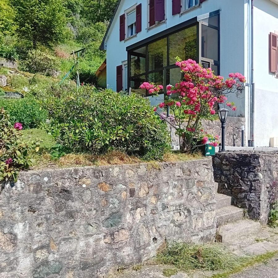 Gite Monts Et Merveilles Mollau Екстериор снимка